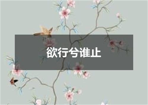 欲行兮谁止