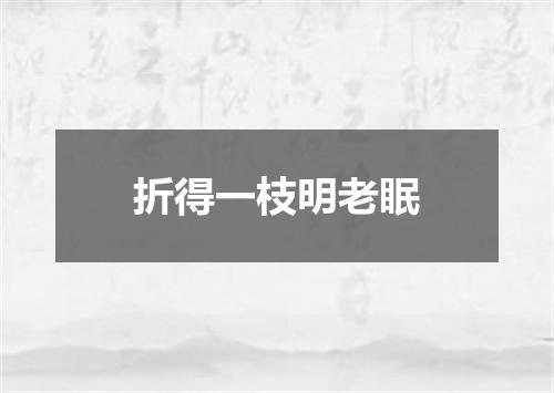 折得一枝明老眠