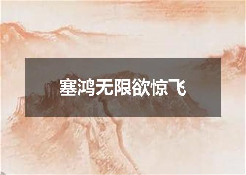 塞鸿无限欲惊飞