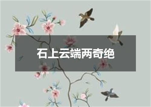 石上云端两奇绝