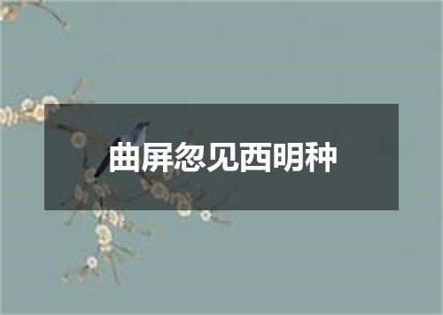 曲屏忽见西明种