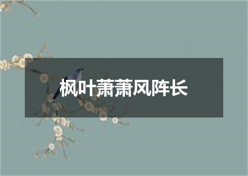 枫叶萧萧风阵长