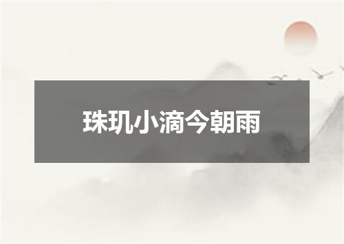 珠玑小滴今朝雨
