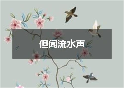 但闻流水声