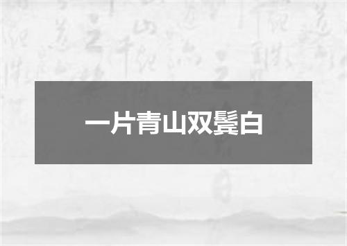 一片青山双鬓白