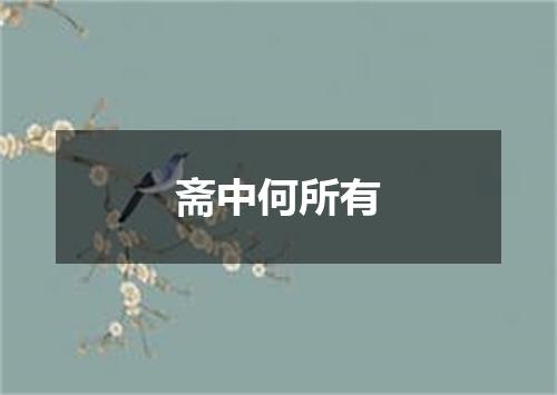 斋中何所有