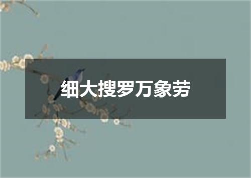 细大搜罗万象劳