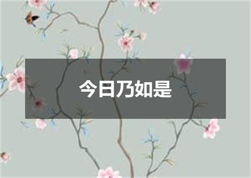 今日乃如是