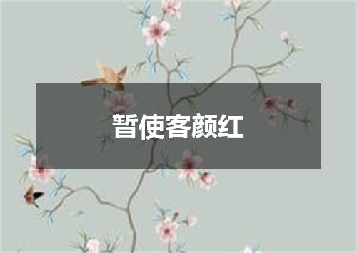 暂使客颜红