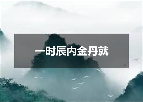 一时辰内金丹就