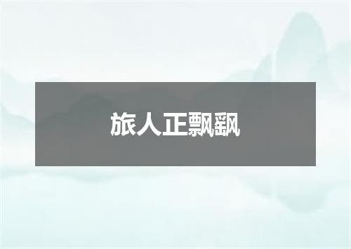 旅人正飘飖