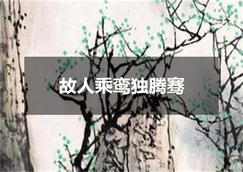 故人乘鸾独腾骞