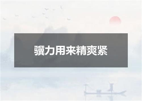 骥力用来精爽紧