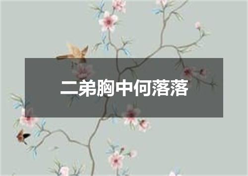 二弟胸中何落落