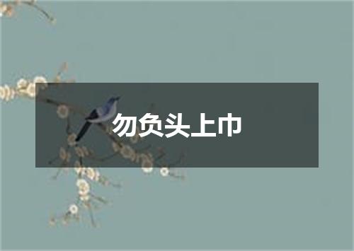 勿负头上巾