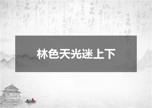 林色天光迷上下