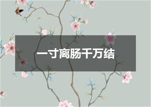一寸离肠千万结
