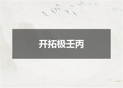 开拓极壬丙
