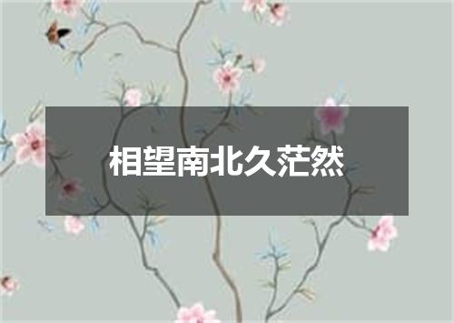相望南北久茫然