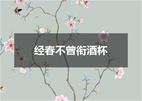 经春不曾衔酒杯