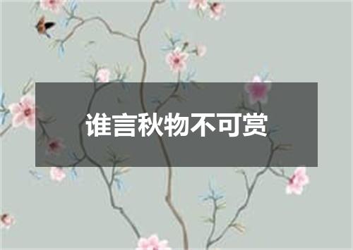谁言秋物不可赏