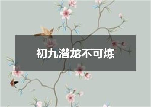 初九潜龙不可炼