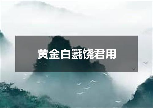 黄金白氎饶君用