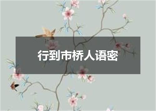 行到市桥人语密