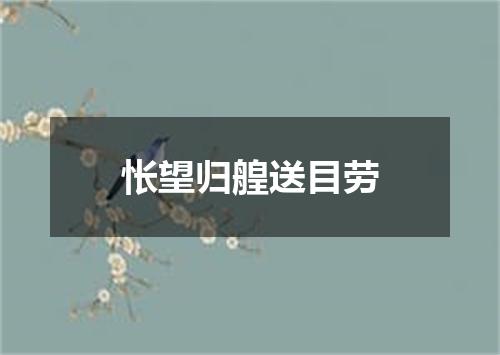 怅望归艎送目劳