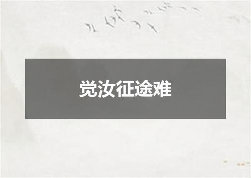 觉汝征途难