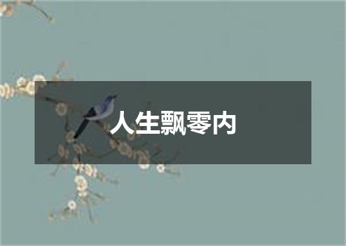 人生飘零内
