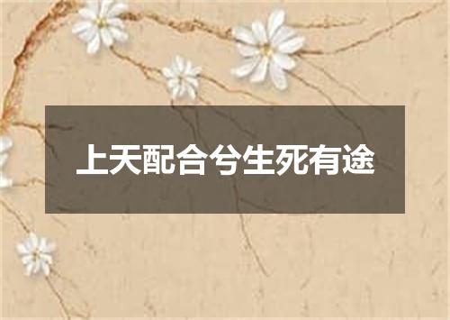 上天配合兮生死有途