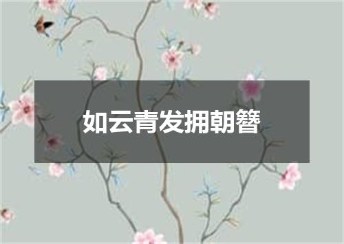 如云青发拥朝簪