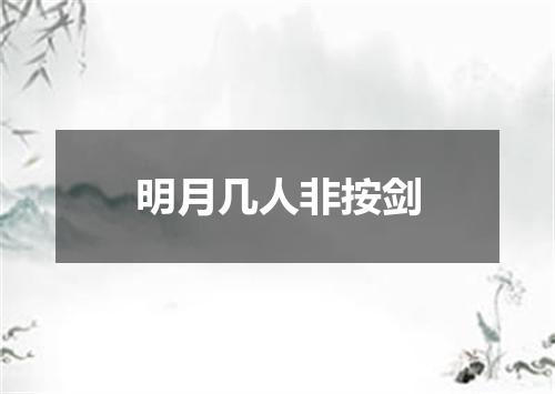 明月几人非按剑