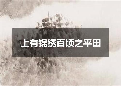 上有锦绣百顷之平田