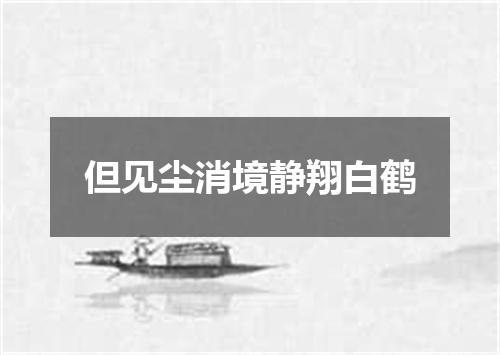 但见尘消境静翔白鹤