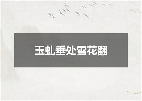 玉虬垂处雪花翻