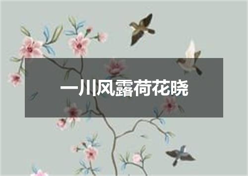 一川风露荷花晓