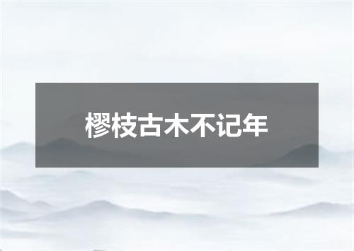 樛枝古木不记年