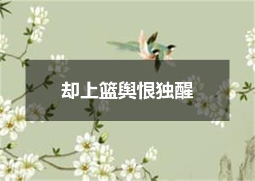 却上篮舆恨独醒