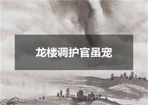 龙楼调护官虽宠