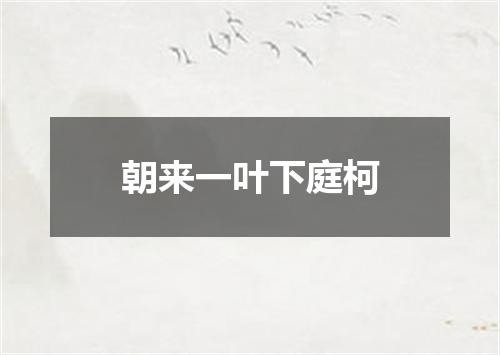 朝来一叶下庭柯