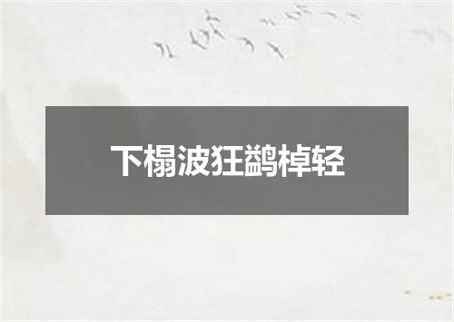 下榻波狂鹢棹轻