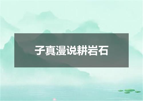 子真漫说耕岩石
