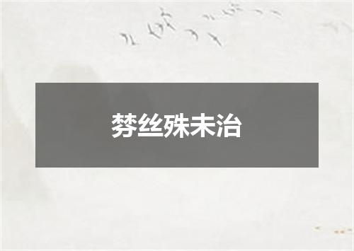 棼丝殊未治