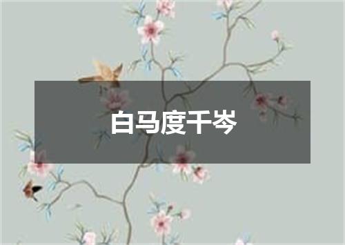 白马度千岑