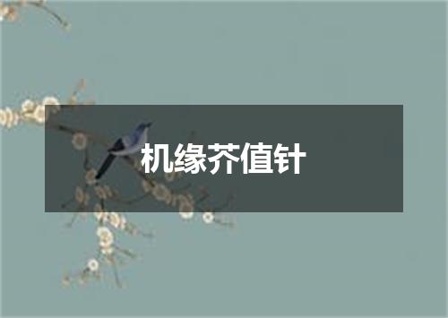 机缘芥值针