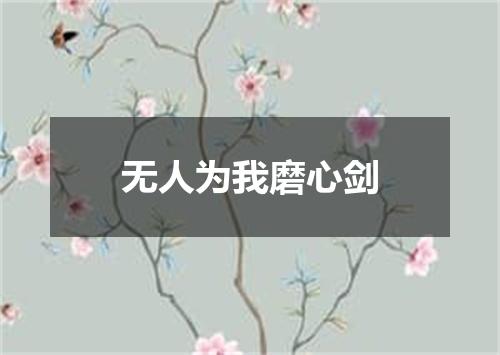 无人为我磨心剑