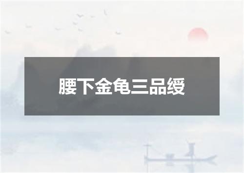 腰下金龟三品绶