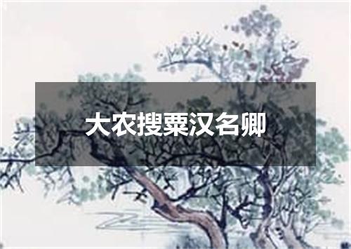 大农搜粟汉名卿